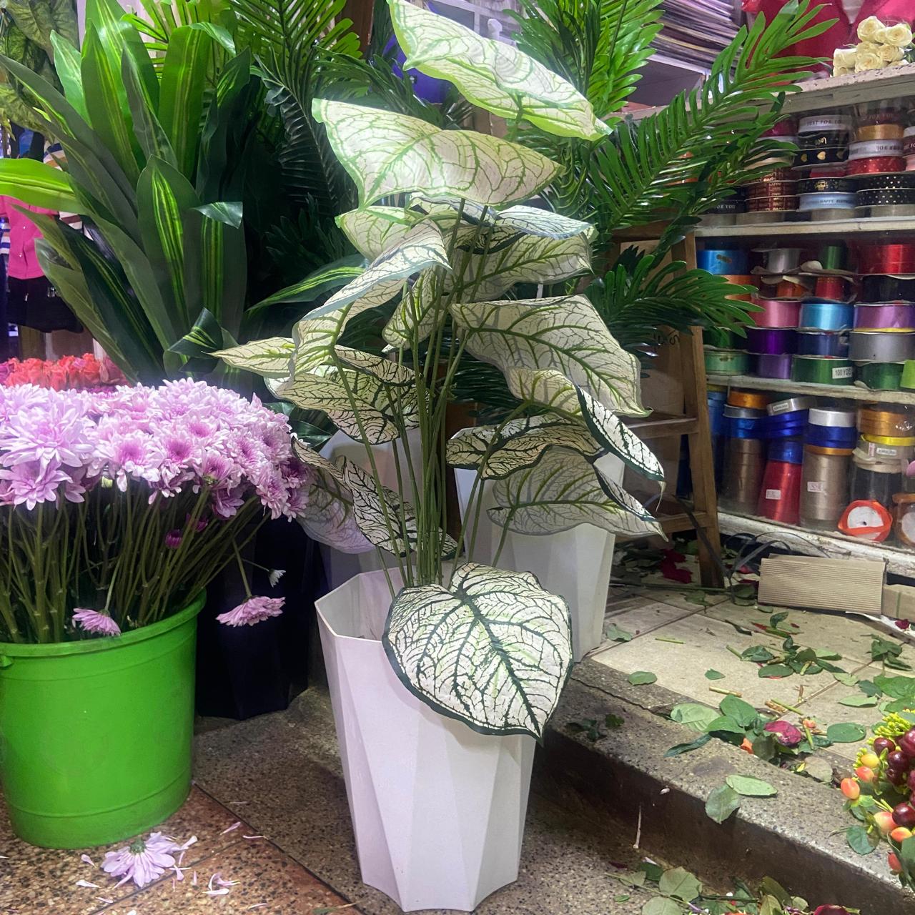 Artificial white caladium