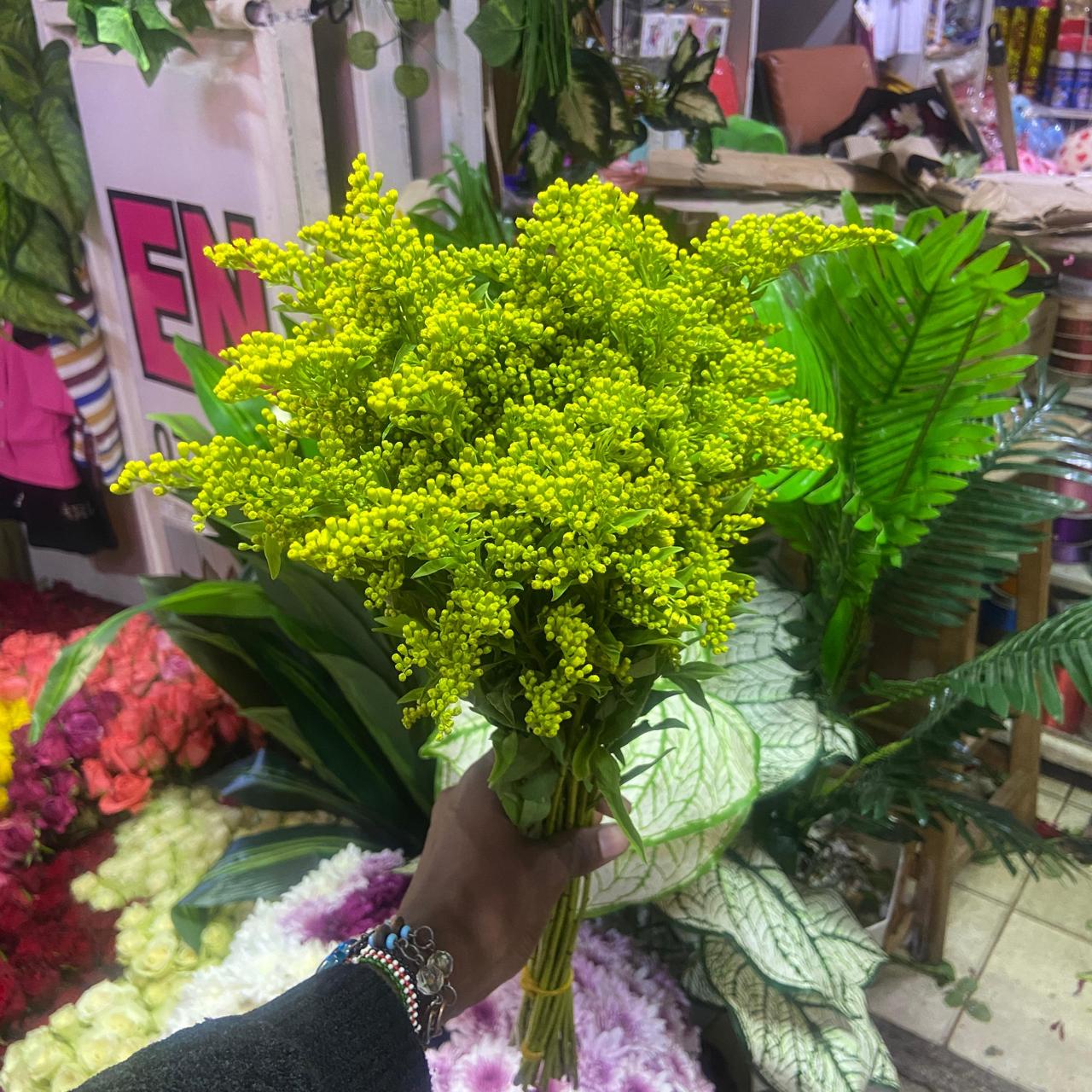 Goldenrod